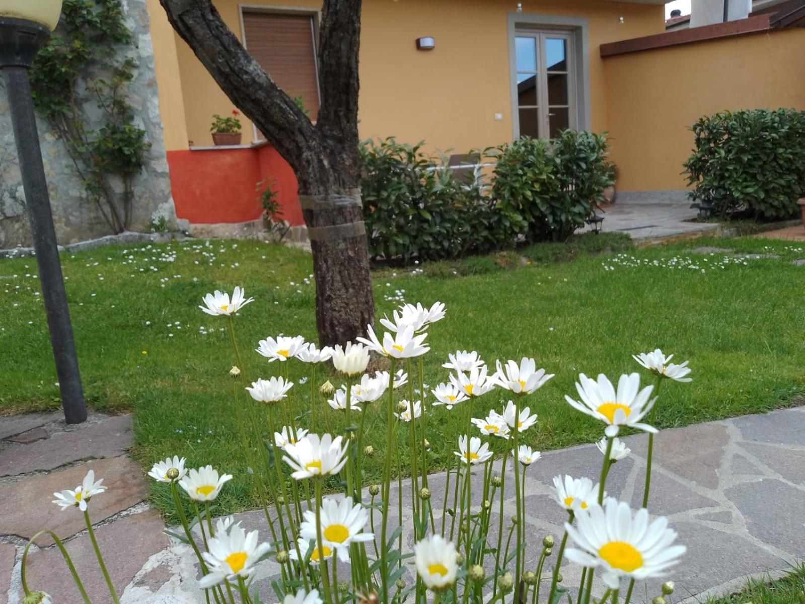 Le Sette Fontane Hotel Barga Exterior foto